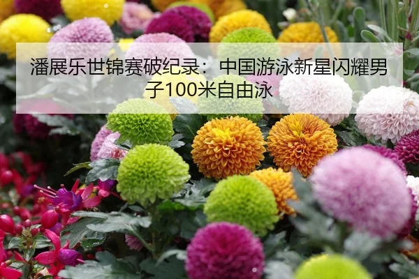 潘展乐世锦赛破纪录：中国游泳新星闪耀男子100米自由泳