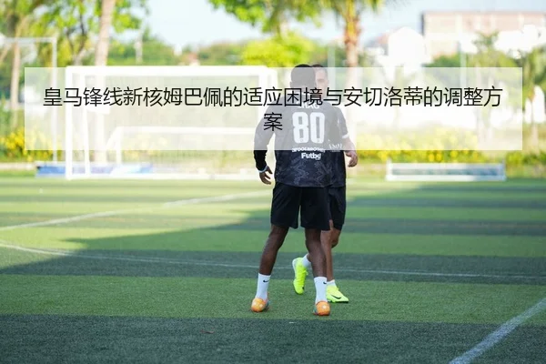 huang-ma-feng-xian-xin-he-mu-ba-pei-de-shi-ying-kun-jing-yu-an-qie-luo-di-de-tiao-zheng-fang-an-3-362.jpg